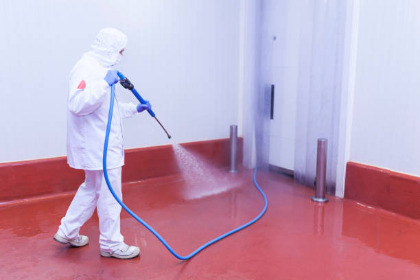 Best Rust Removal  in Blairsville, PA